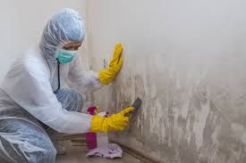 Why You Should Choose Our Mold Remediation Services in Elizabethville, PA